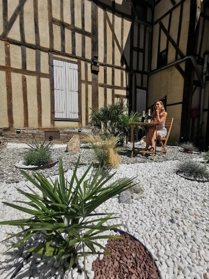 Le Chat De La Cathedrale - Calme - Jardin - Wifi Troyes Ngoại thất bức ảnh